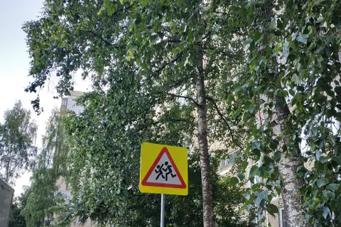 В Ярославле появился дорожный знак-невидимка