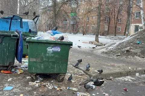 В Ярославле жители Пятерки грозят устроить «мусорный бунт»
