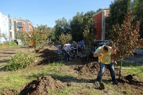 В центре Ярославля в Бутусовском поселке посадили яблоневый сад
