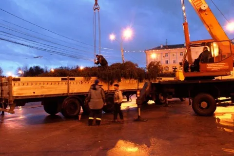 На Юбилейной площади в Ярославле «выросла» новогодняя елка