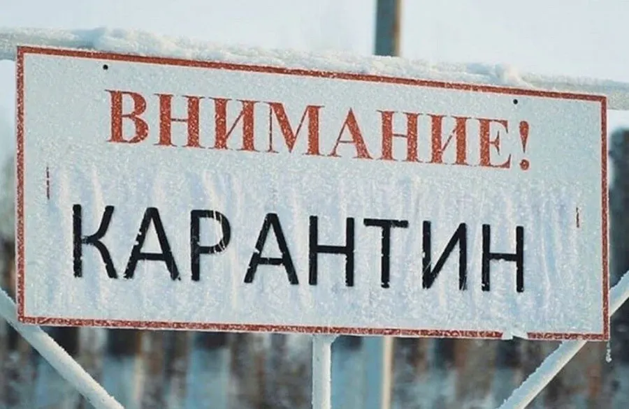 В Ярославской области введен карантин по бешенству