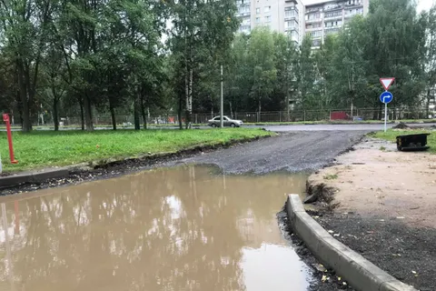 Ярославский общественник: «Объем работ по БКАД-2019 выполнен на 45 процентов»