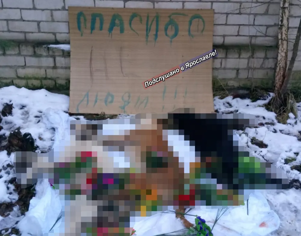 В Ярославле неизвестные отравили бездомных собак