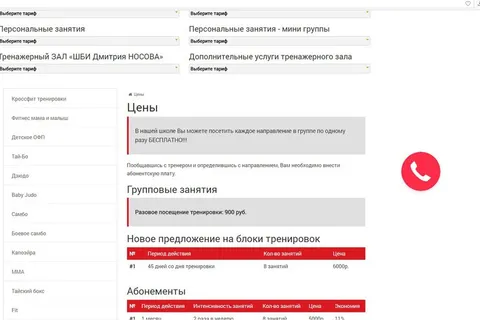 Является ли бизнесом школа боевых искусств Дмитрия Носова 