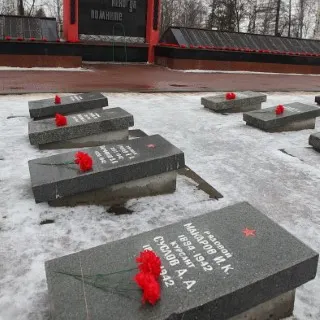 Сергей Ястребов принял участие в митинге, посвященном Дню защитника Отечества