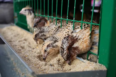 В Ярославле открылась V ярославская агропромышленная выставка-ярмарка «ЯрАГРО»