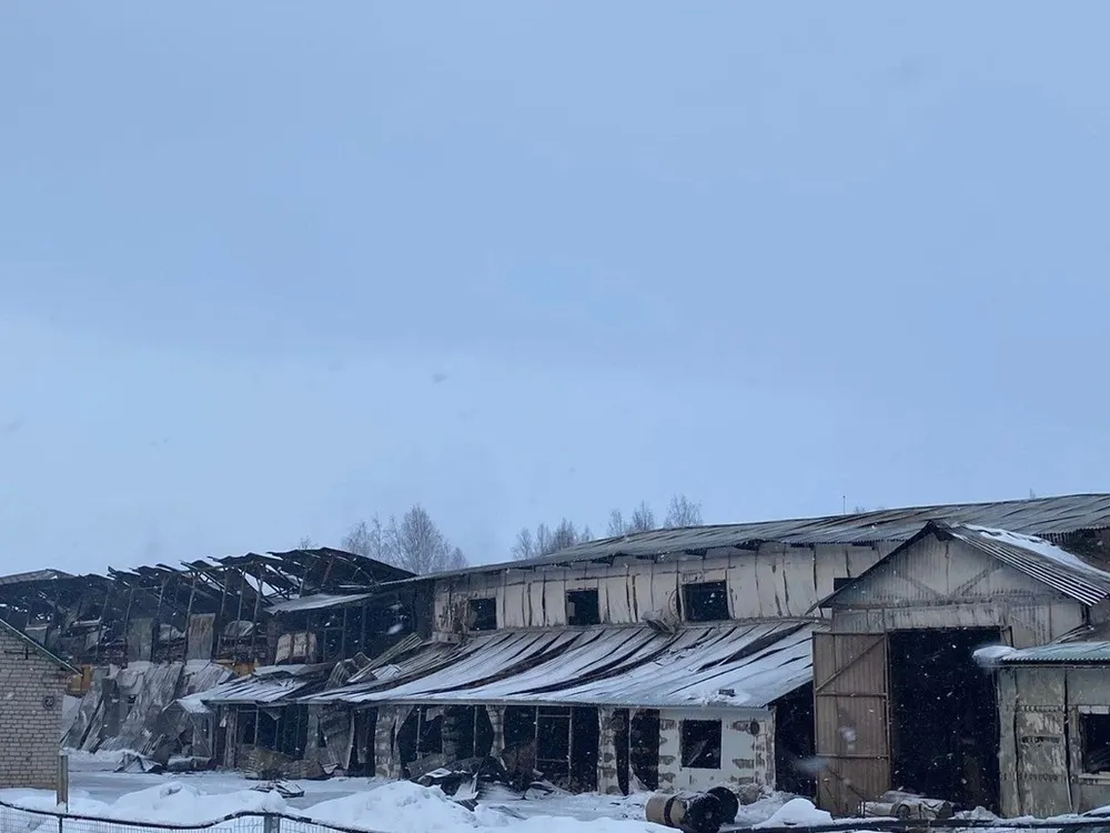 Сгоревший в Гаврилов-Яме завод «Сады Аурики» приостановил работу