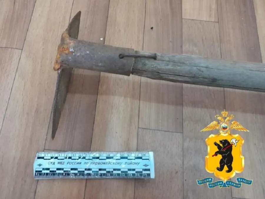 Жителя Ярославской области будут судить за удар тяпкой по голове