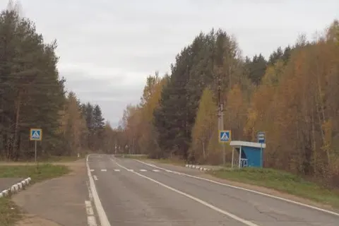 В Брейтовском районе сбит пешеход