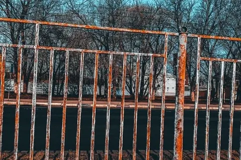 В Ярославле продолжают традицию покраски заборов по грязи