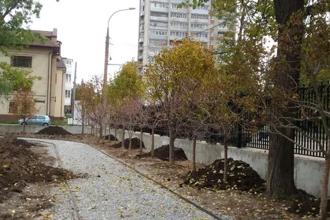 В Рыбинске завершаются работы по благоустройству Карякинского парка