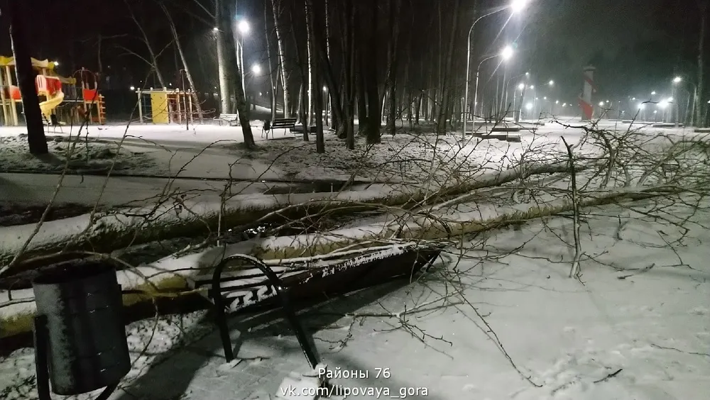 В Ярославле в благоустроенном парке падают деревья и столбы освещения