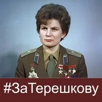Мэр Ярославля пообещал наказать людей, оскорбивших  Валентину Терешкову