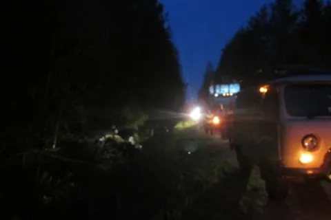 В Переславском районе ночью в результате опрокидывания иномарки погиб человек