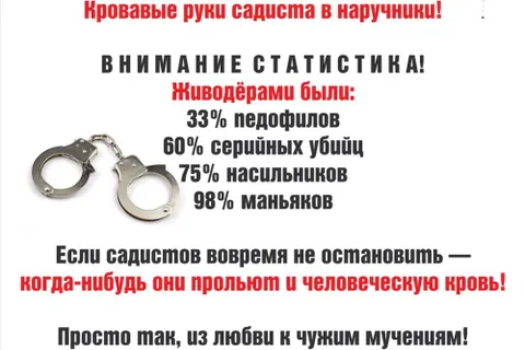 В Ярославле пройдет митинг против хабаровских живодерок