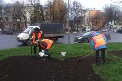В Ярославле высаживают 20 тысяч луковиц тюльпанов