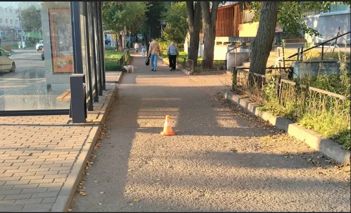 Бастрыкин требует уголовное дело по сбитому самокатом ребенку в Угличе