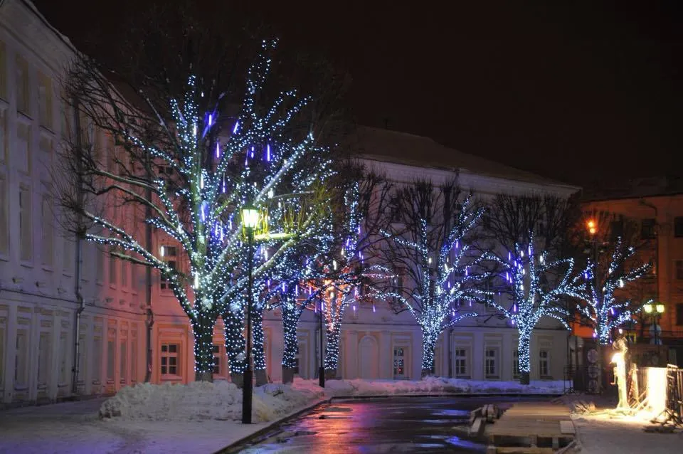  В Ярославле подсветят 200 деревьев