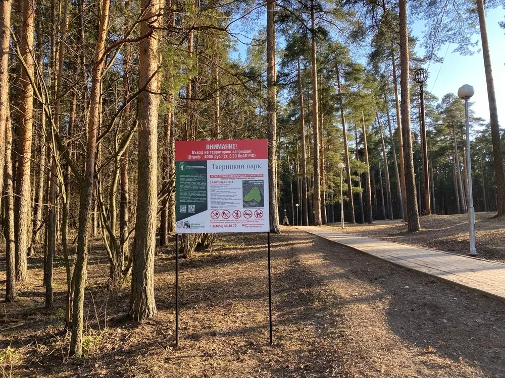 В Ярославле проведут аукцион по катанию в повозках на лошадях