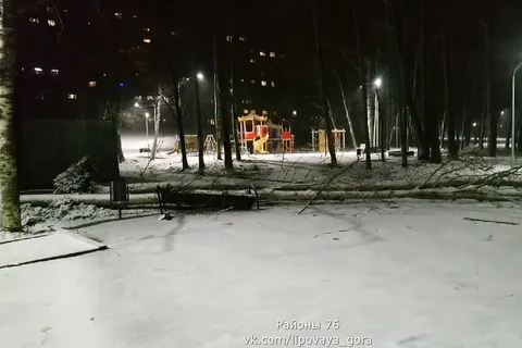 В Ярославле в благоустроенном парке падают деревья и столбы освещения