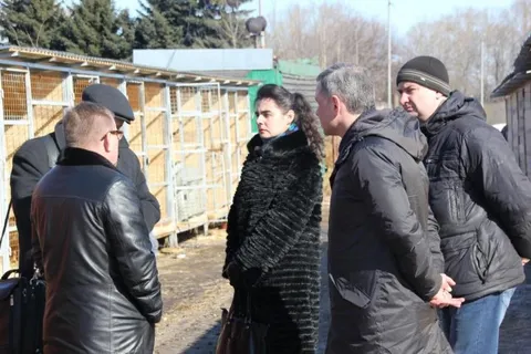 Власти Ярославля проверили содержание бездомных животных Спецавтохозяйством