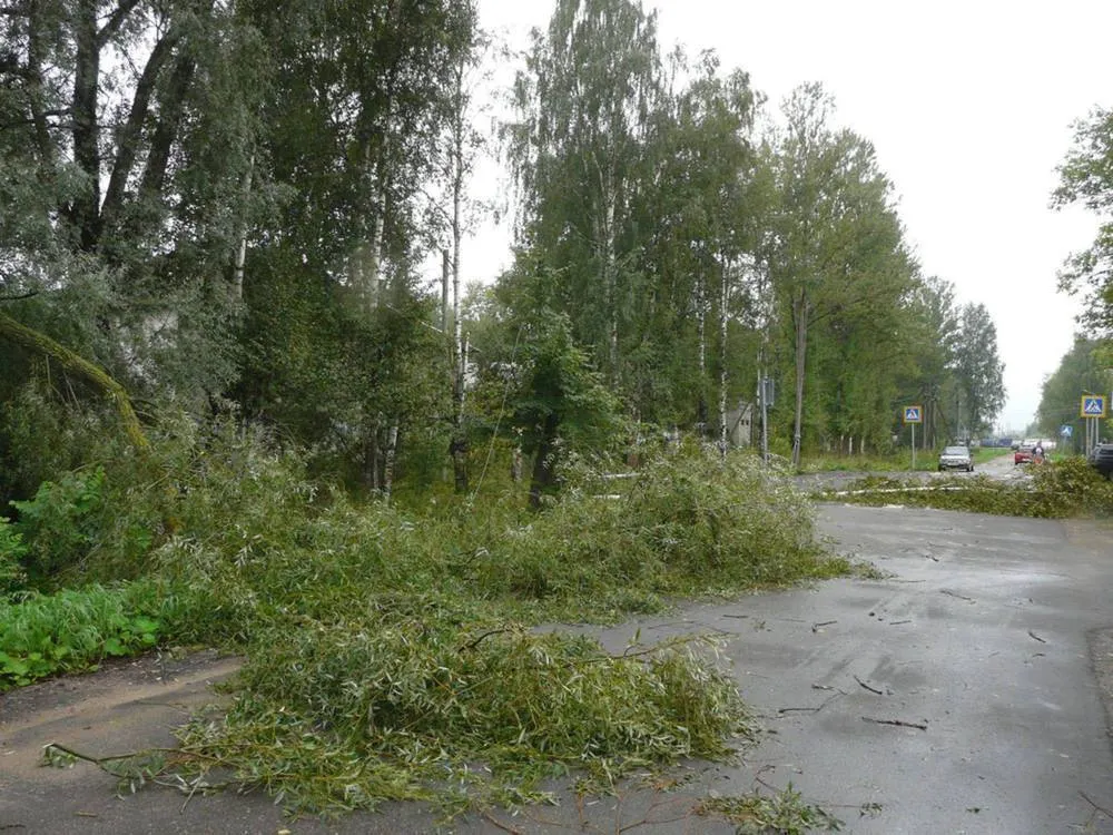 В Ярославской области усилится северный ветер