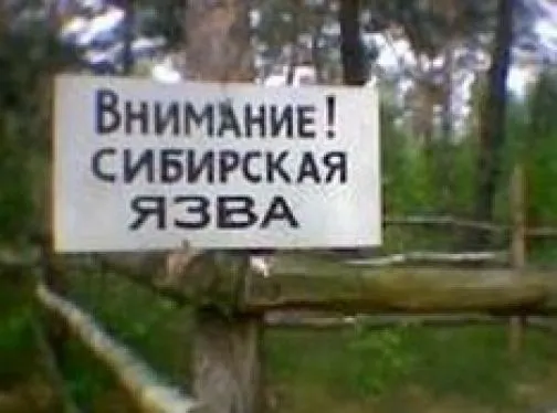 В Ярославской области обнаружили сибирскую язву