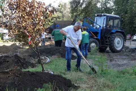 В центре Ярославля в Бутусовском поселке посадили яблоневый сад