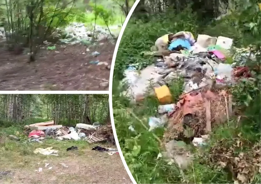 Власти обвинили жителей в свалке на рыбинском острове
