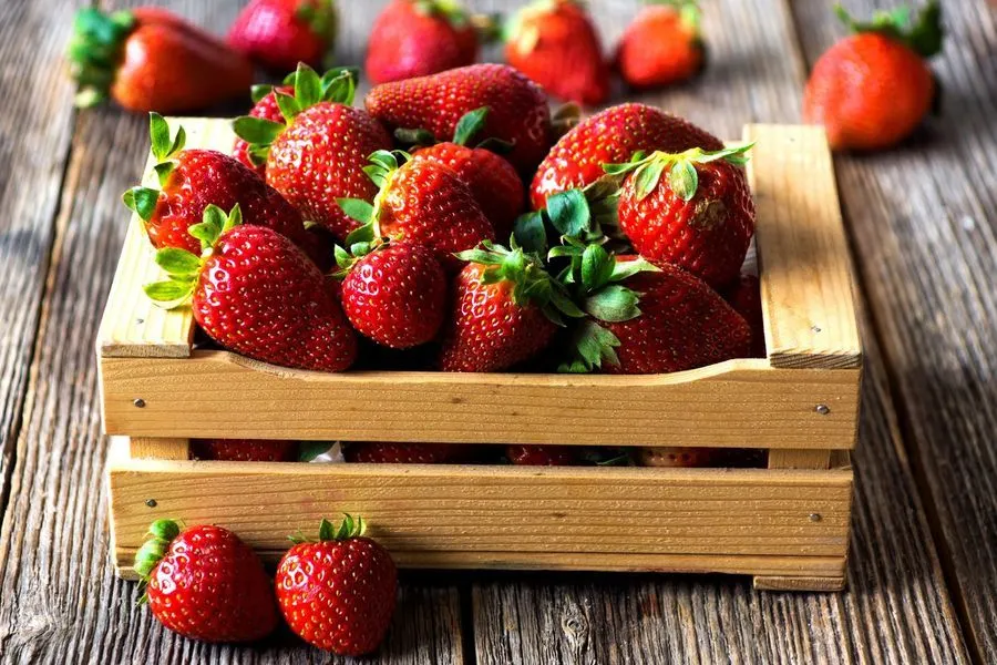Выбираем вкусную клубнику