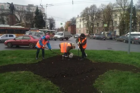 В Ярославле высаживают 20 тысяч луковиц тюльпанов