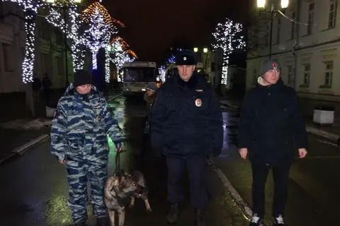 В Ярославской области в новогодние каникулы зарегистрировано почти двести преступлений
