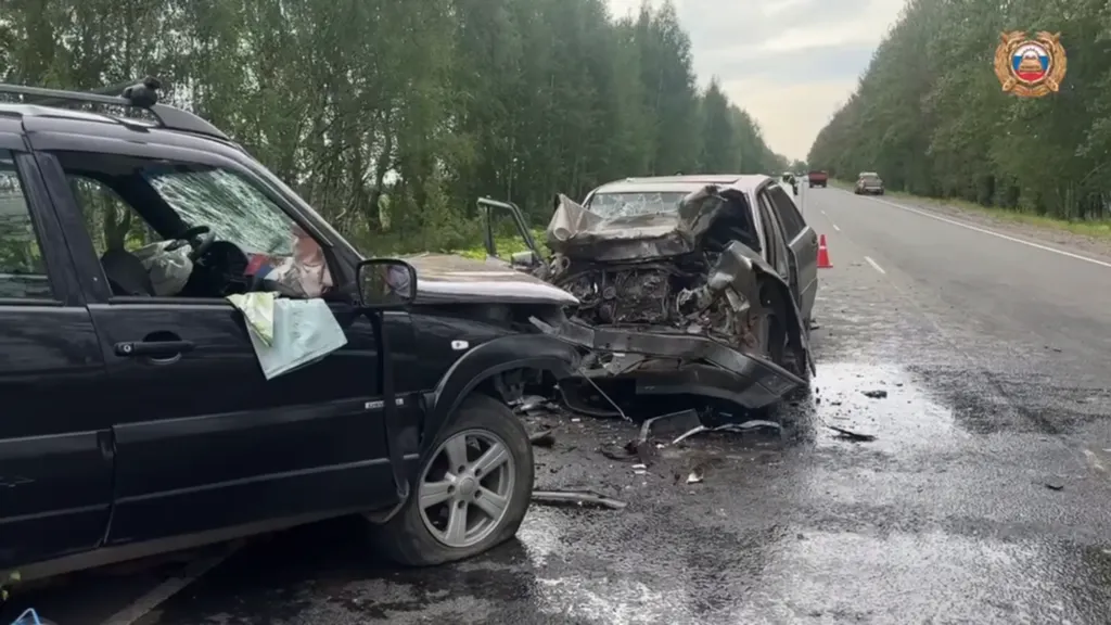 Глава ГАИ назвал причину массового смертельного ДТП под Ярославлем