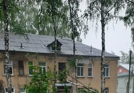 В Ярославле из-за грозы и ветра падают столбы и деревья