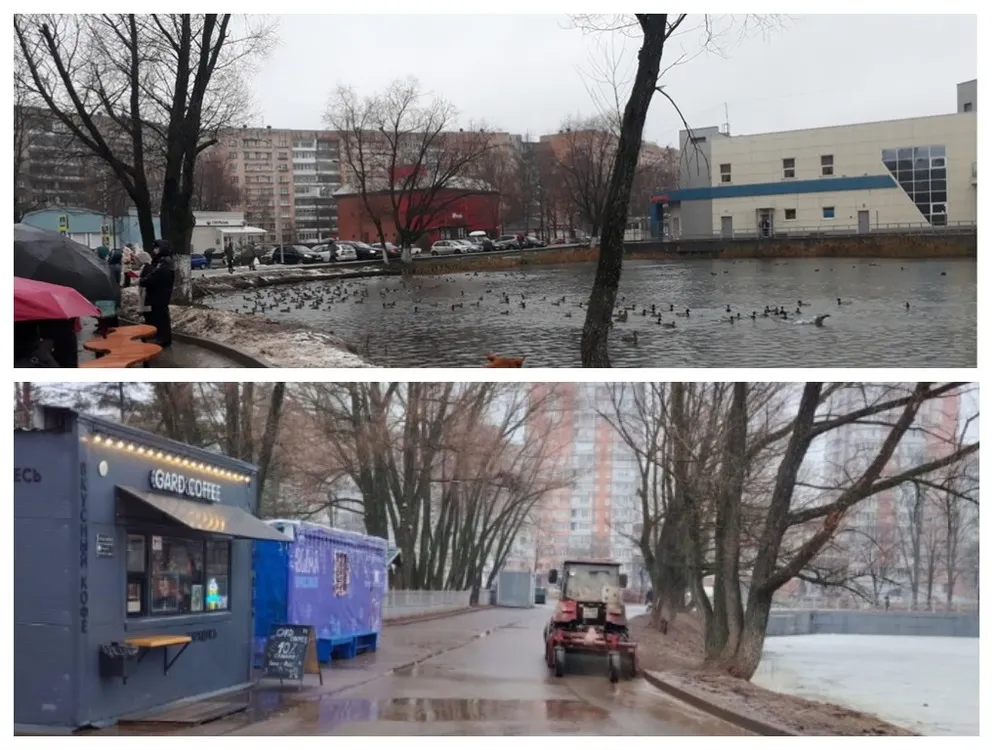 В ярославском парке запретят кормление птиц
