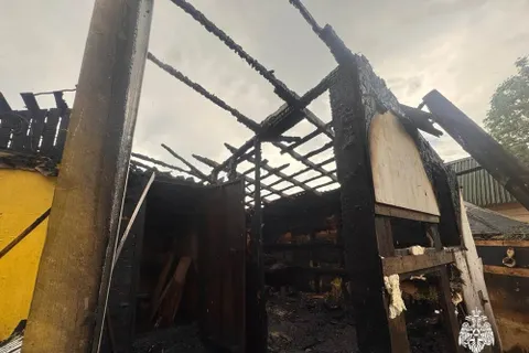Ярославский дачник получил травмы во время пожара