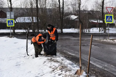 В Ярославле растет число несанкционированных свалок