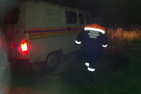 В выходные волонтеры-поисковики спасли пятерых грибников
