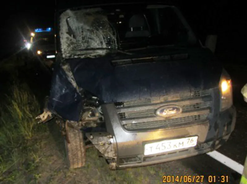 В Гаврилов-Ямском районе ночью погиб пешеход