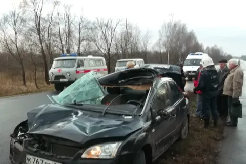 В Ярославской области иномарка сбила сохатого