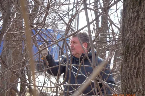 Жители Фрунзенского района Ярославля провели субботник