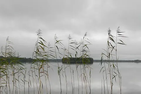 Приходите в Музей города отдохнуть душой