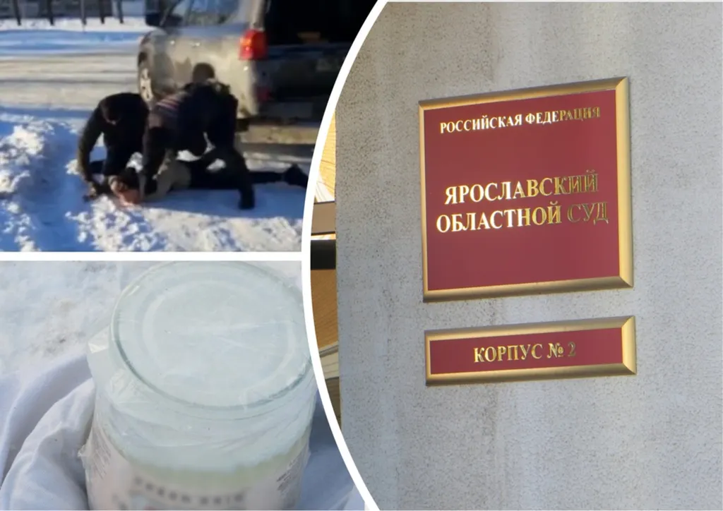 Ярославский суд отправил 16-летнего подростка-радикала под домашний арест