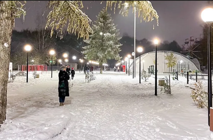 В ярославском парке поставят световые деревья