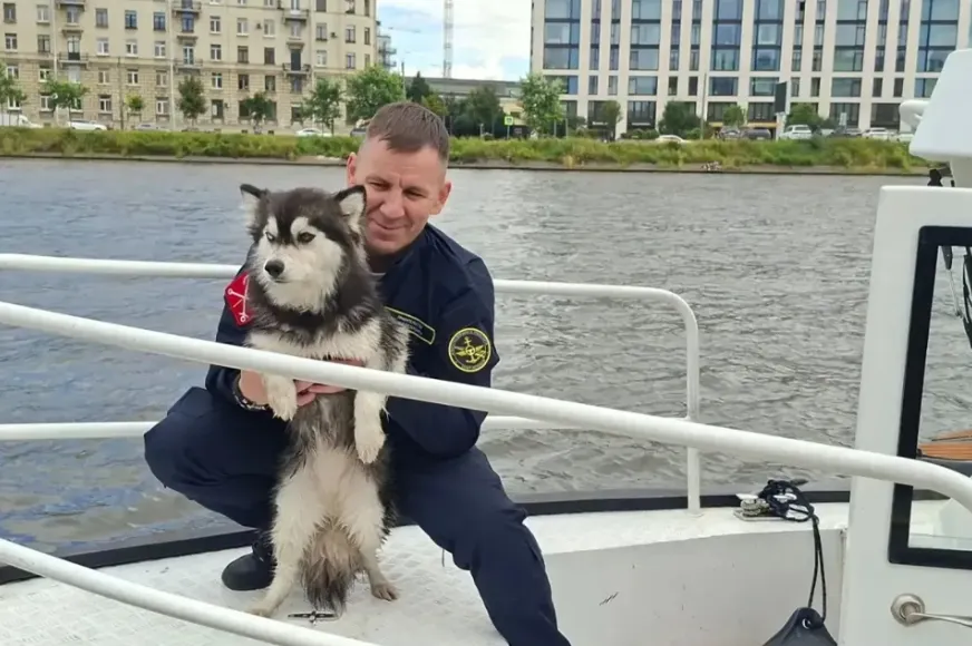 В Санкт-Петербурге потерявшуюся собаку спасли из Невы