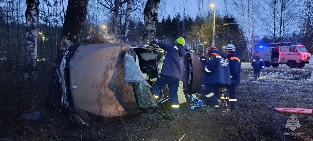 В Ярославле BMW врезался в дерево