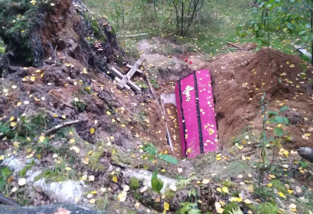 В лесу под Ярославлем грибники нашли открытый гроб