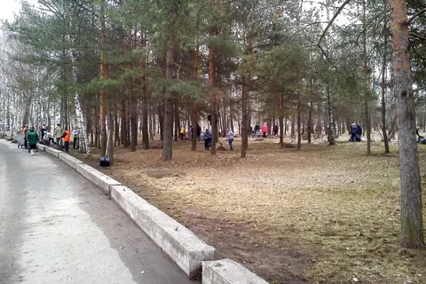 В общегородском субботнике в Ярославле приняли участие тридцать тысяч человек