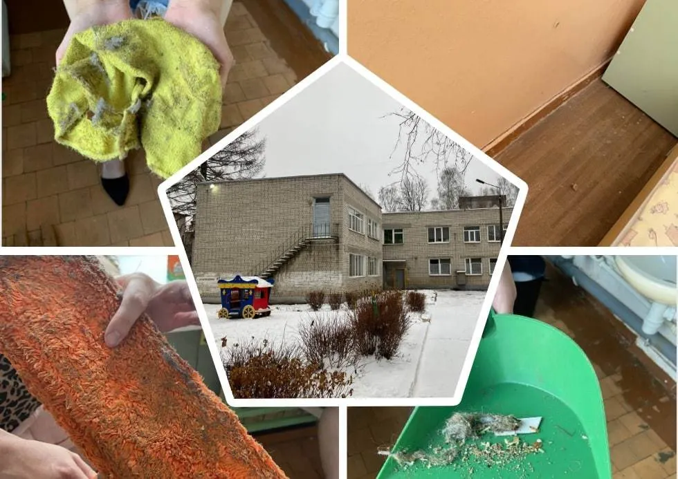 «Грязь, тараканы и текучка кадров»: в Ярославле группа родителей добивается увольнения заведующей детсадом