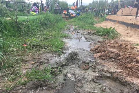 В Ярославской области появится «золотая остановка» – YarNews-TV